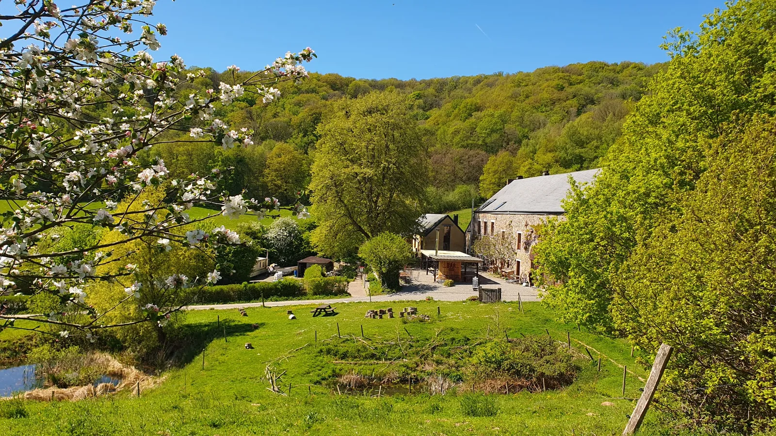 Vue d'ensemble du lieu depuis la forêt en face, pommier en fleurs au premier plan, bâtiments en pierre, étangs et prairie où paissent les ânes au milieu, falaise boisée à l'arrière