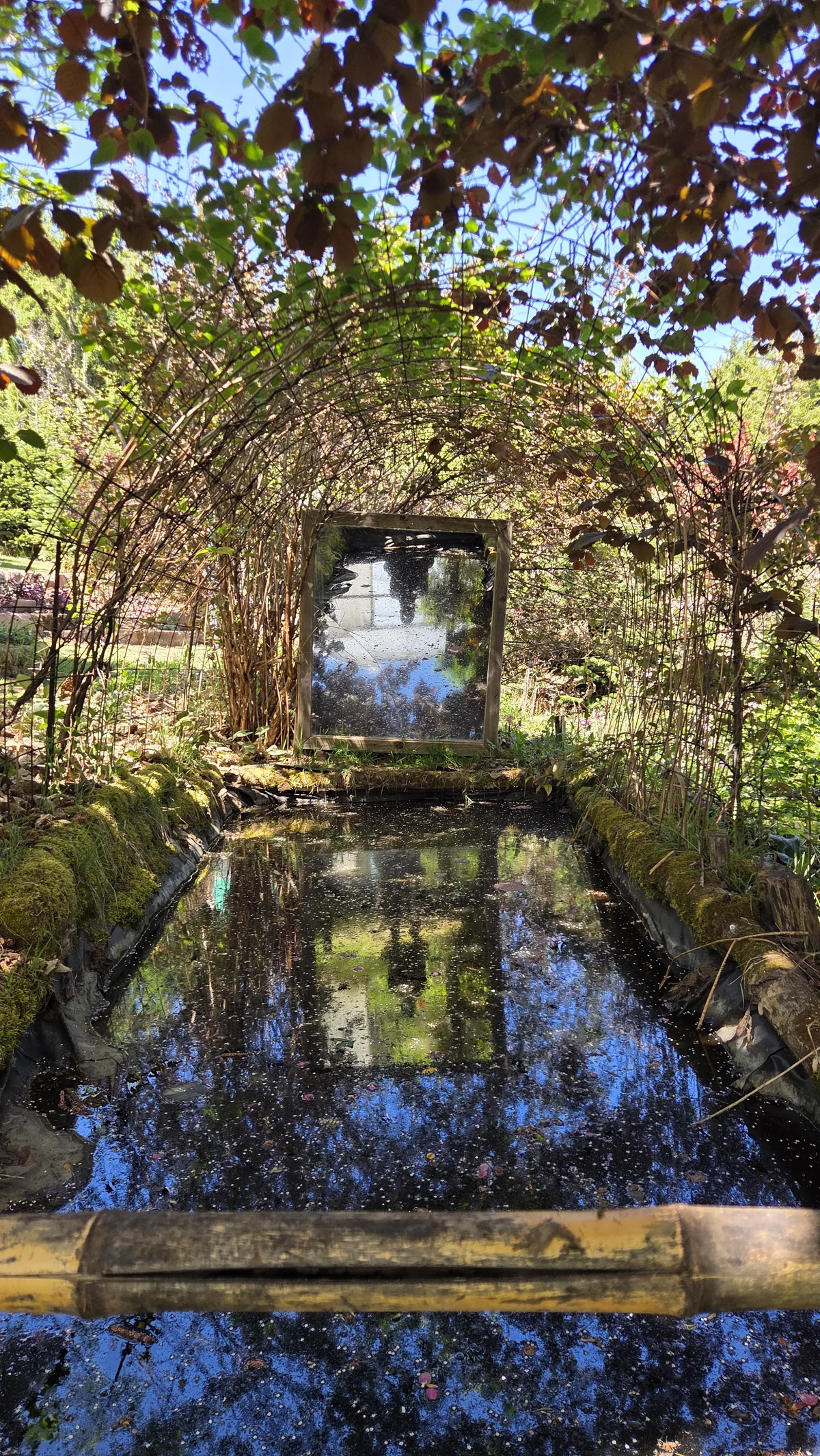 Cabane envahie de plantes grimpantes et de branchages, fenêtres encadrées de végétation, lumière qui filtre à travers les feuilles