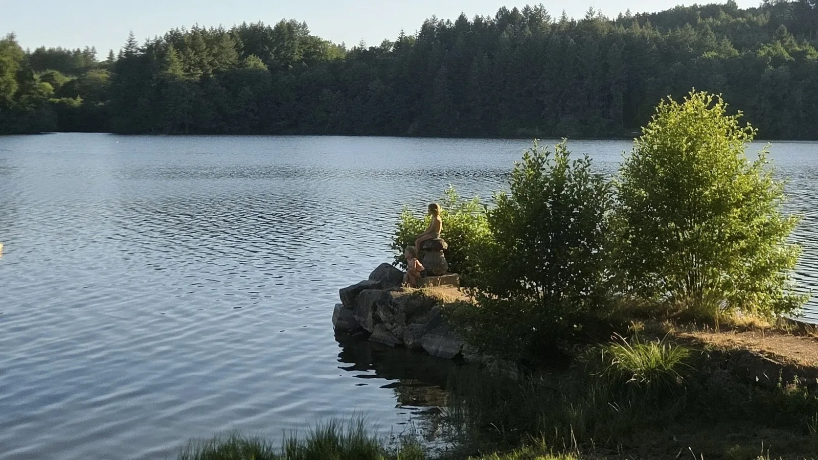 Le lac, un petit îlot boisé au milieu de l'eau, entouré de forêt