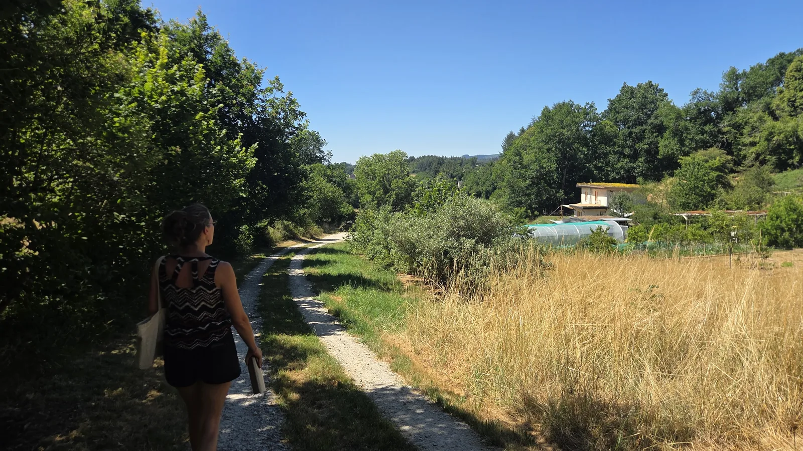Le chemin qui remonte vers la maison en terre-paille, au fond du terrain