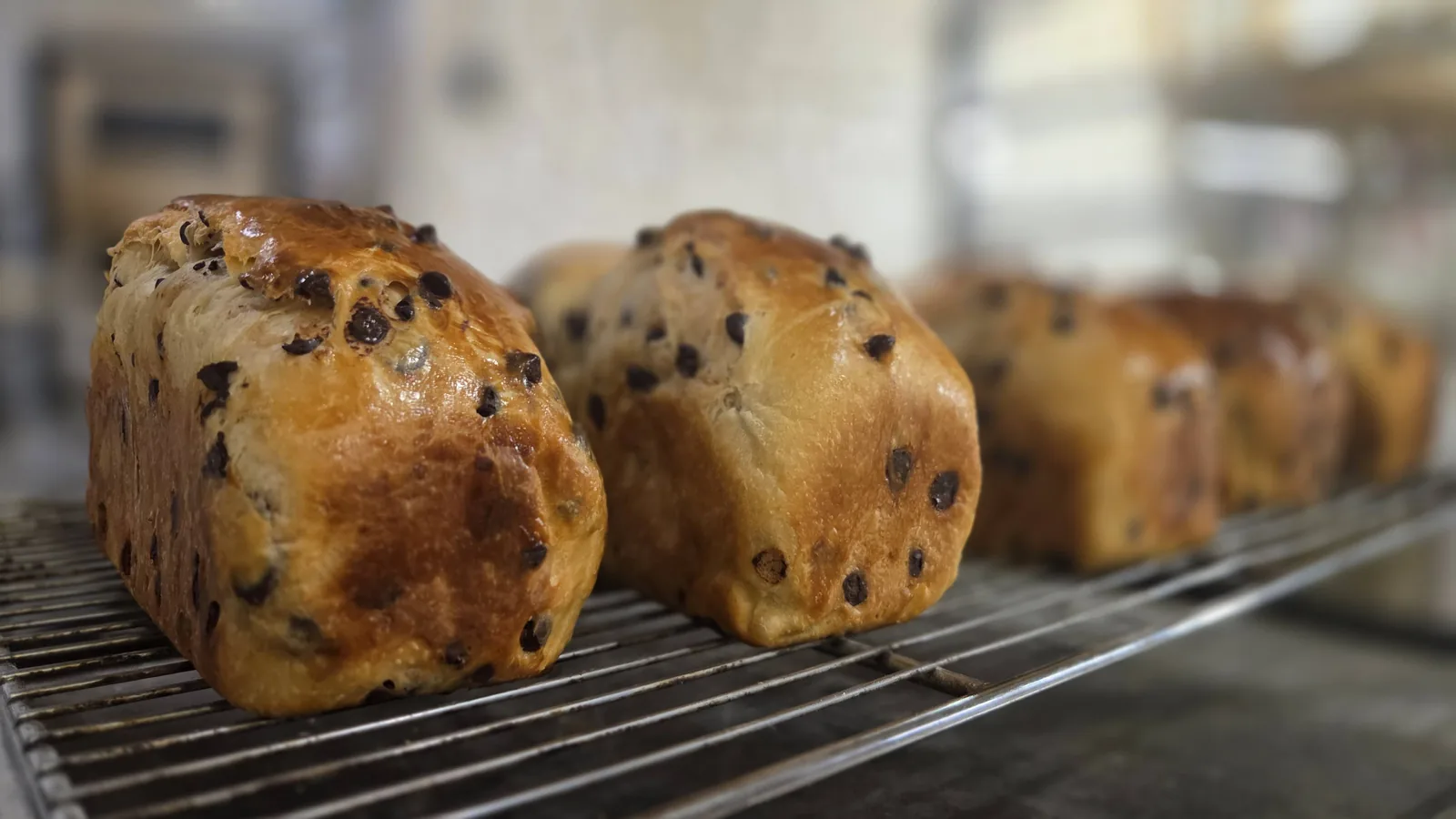 Trois brioches aux pépites de chocolat sur une grille, à la sortie du four